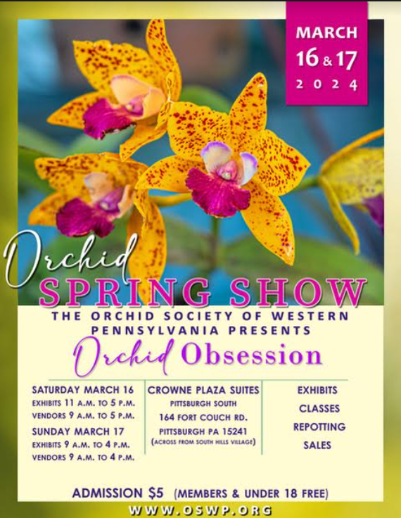 Orchid Society of Western Pennsylvania Show 2024